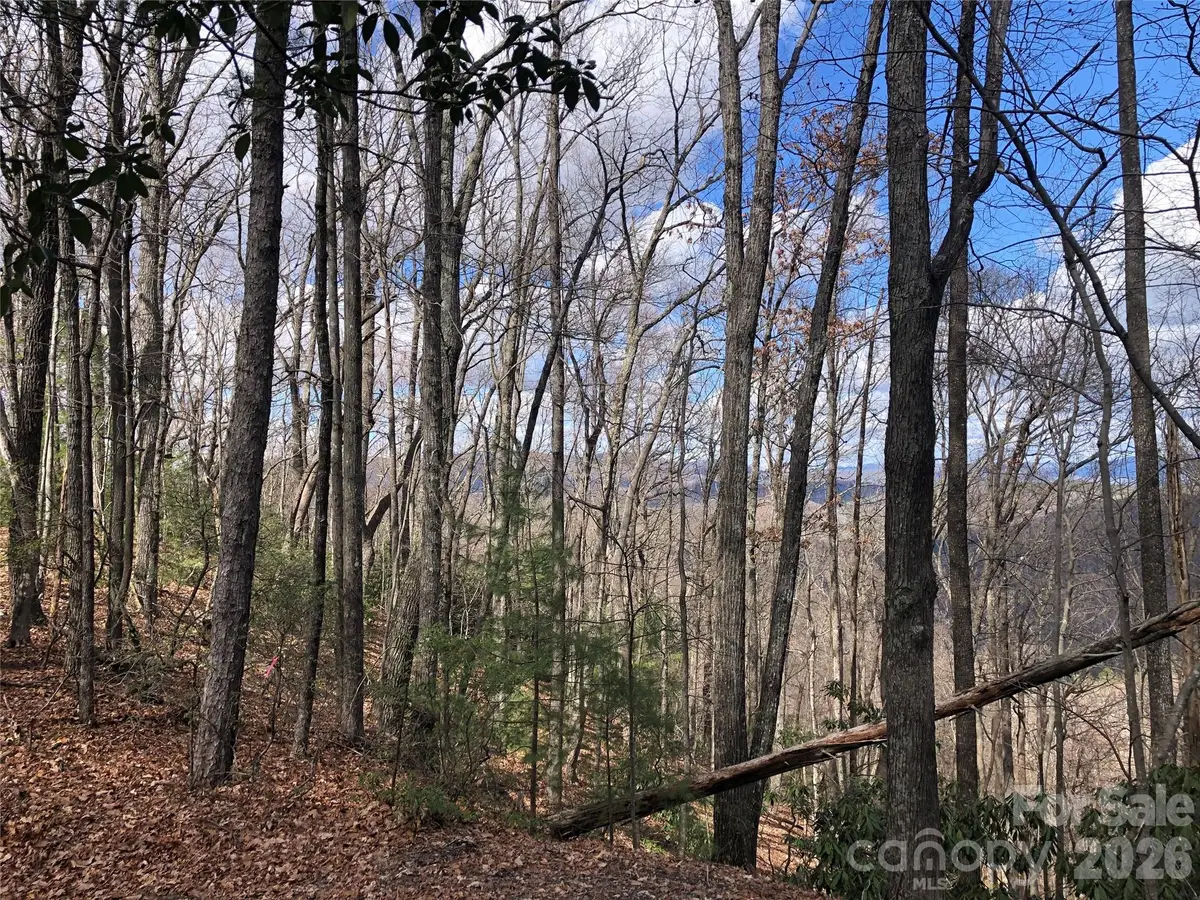 TBD Bobcat Mountain Road #21, Purlear, NC 28665 - #1