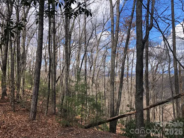 TBD Bobcat Mountain Road #21, Purlear, NC 28665