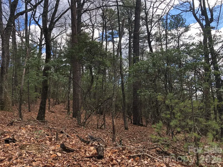 TBD Bobcat Mountain Road #21, Purlear, NC 28665 - #2