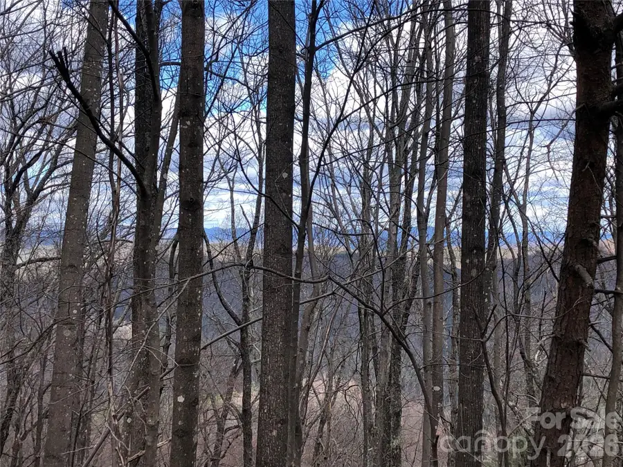 TBD Bobcat Mountain Road #21, Purlear, NC 28665 - #3