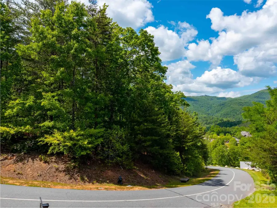 LOT 2012 Deep Gap Farm Road E, Mill Spring, NC 28756 - #2