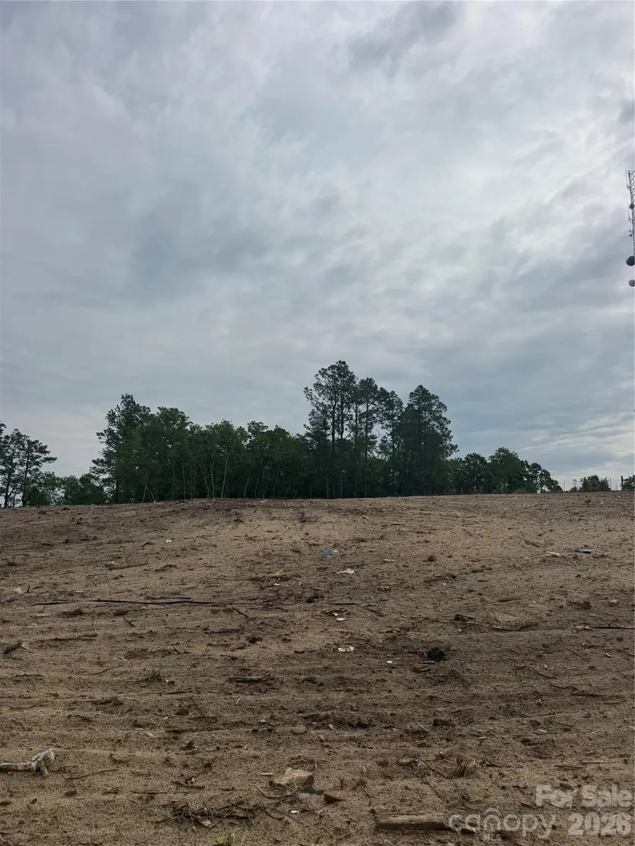 Lot B Bailey Sawmill Road, Ruby, SC 29741 - #2