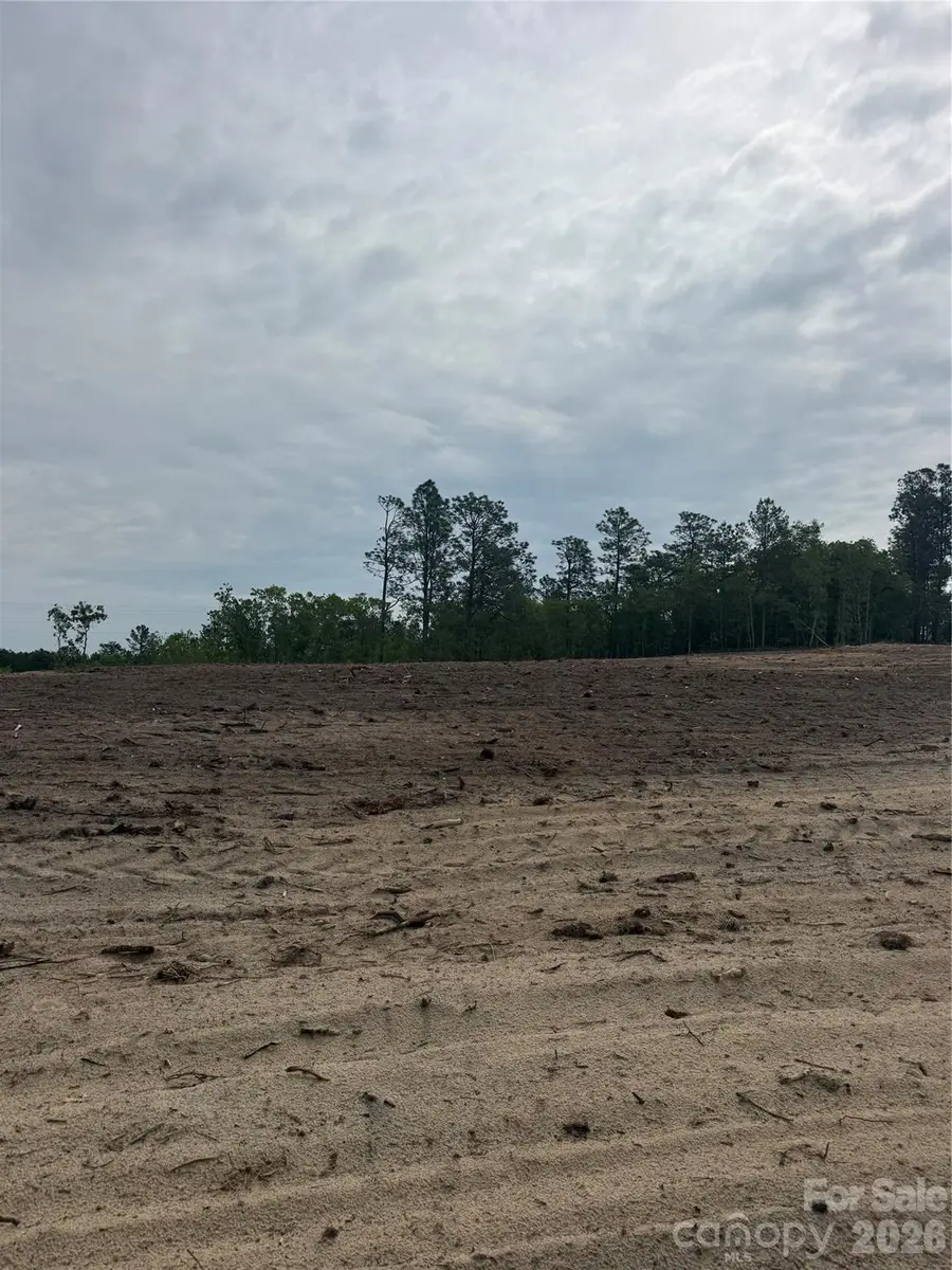 Lot C Bailey Sawmill Road, Ruby, SC 20741 - #2