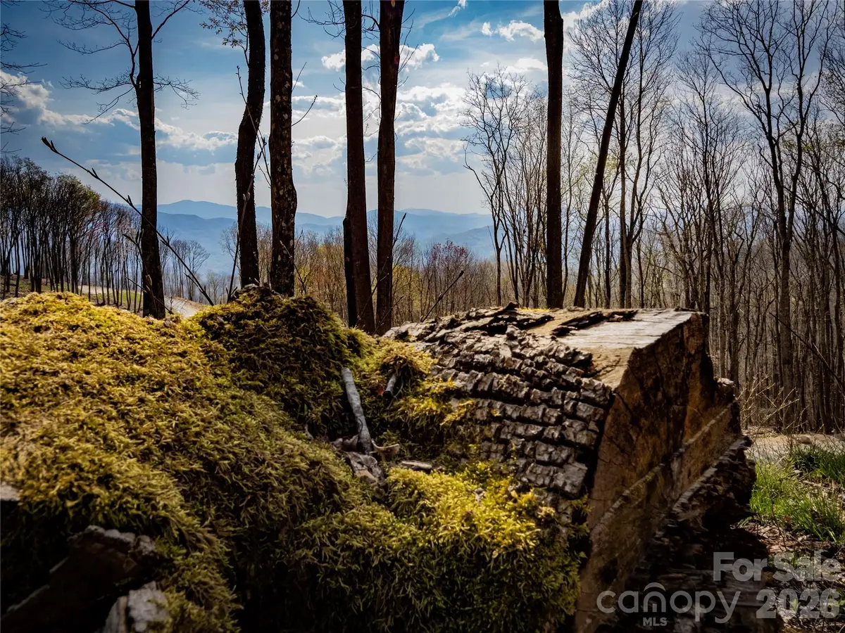 S-92 Talon Trail, Banner Elk, NC 28604 - #1