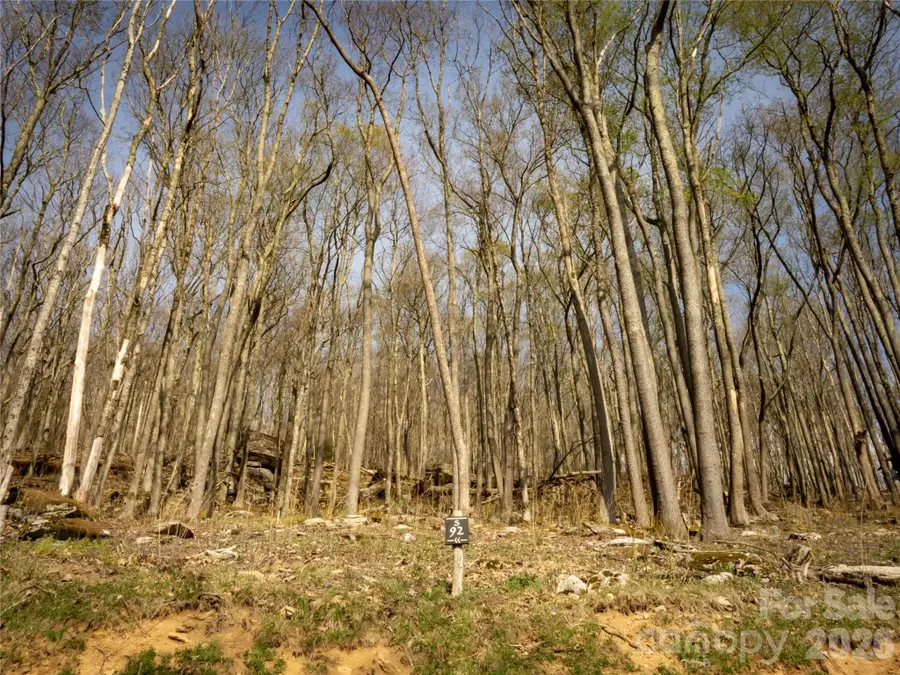 S-92 Talon Trail, Banner Elk, NC 28604 - #3