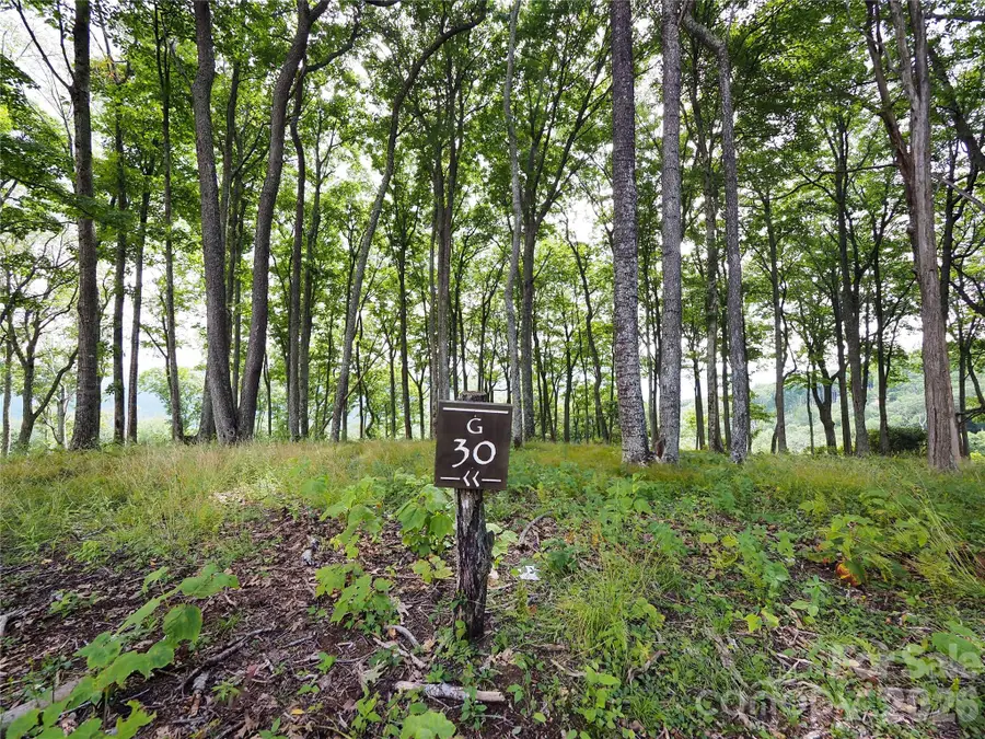 G30 Lodge Woods Trail, Banner Elk, NC 28604 - #2