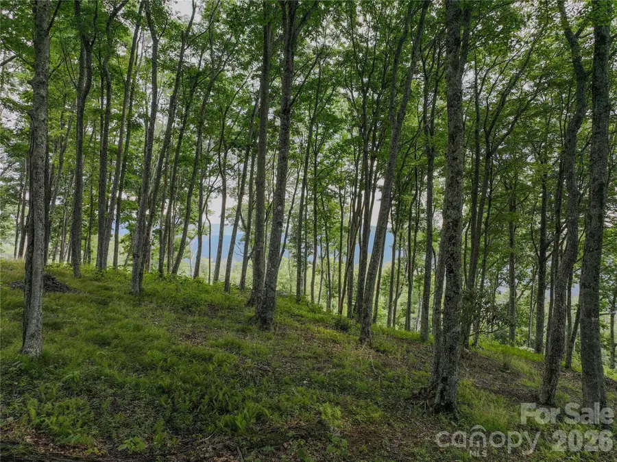 G30 Lodge Woods Trail, Banner Elk, NC 28604 - #3