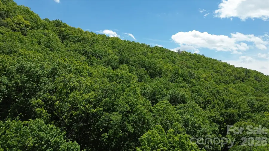 99999 Pink Fox Cove Road, Weaverville, NC 28787 - #3