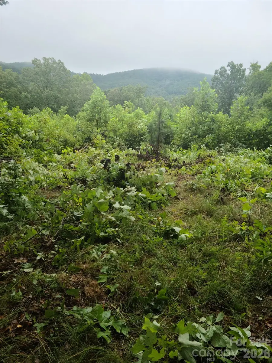 0 Osprey Lane, Nebo, NC 28761 - #2