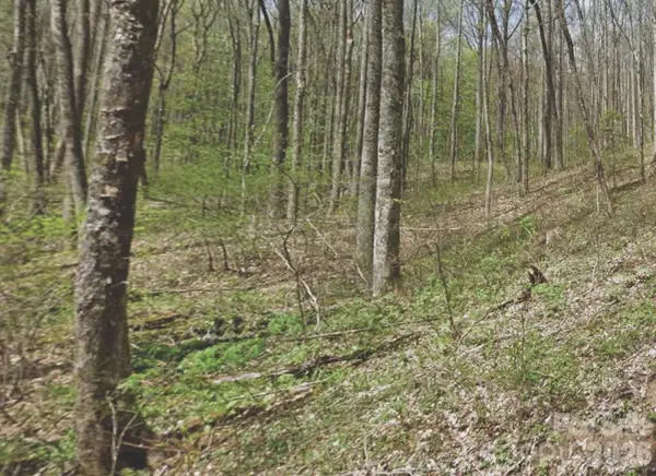 000 Heather Way, Waynesville, NC 28786