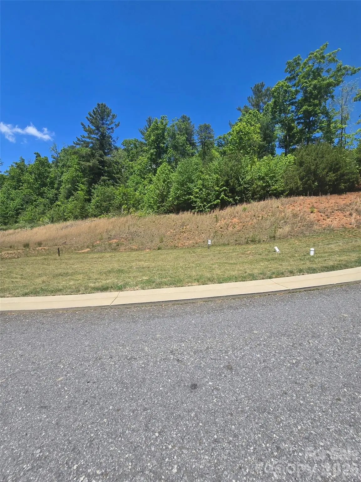 61 Westside Village Road, Fairview, NC 28730 - #1