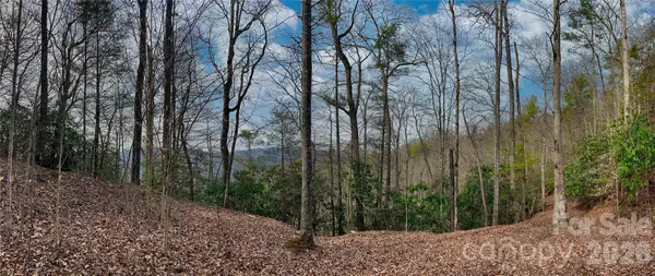 Lot 127 Bear River Lodge Trail, Marshall, NC 28753
