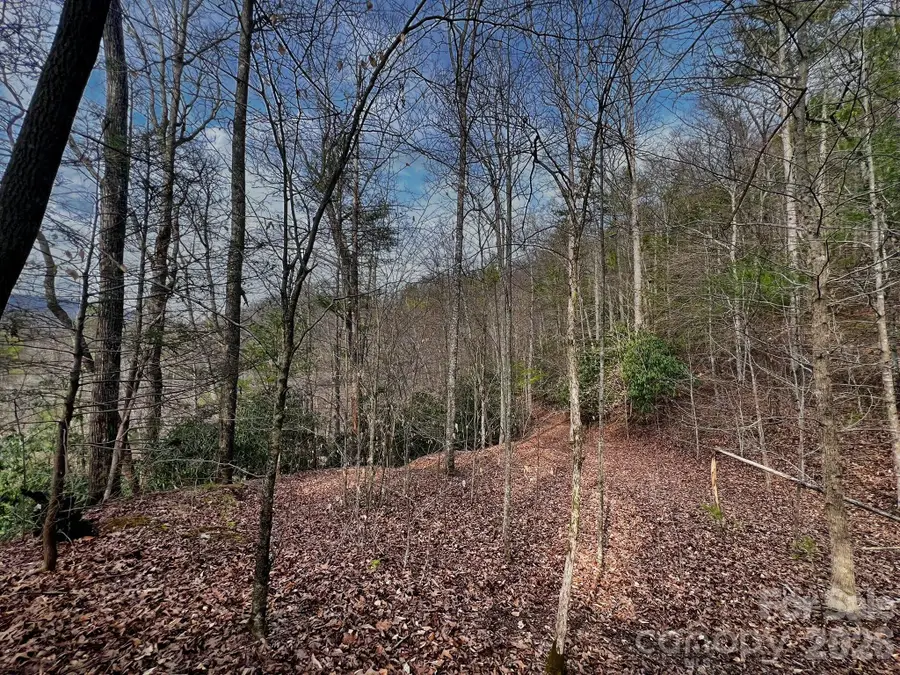 Lot 127 Bear River Lodge Trail, Marshall, NC 28753 - #2