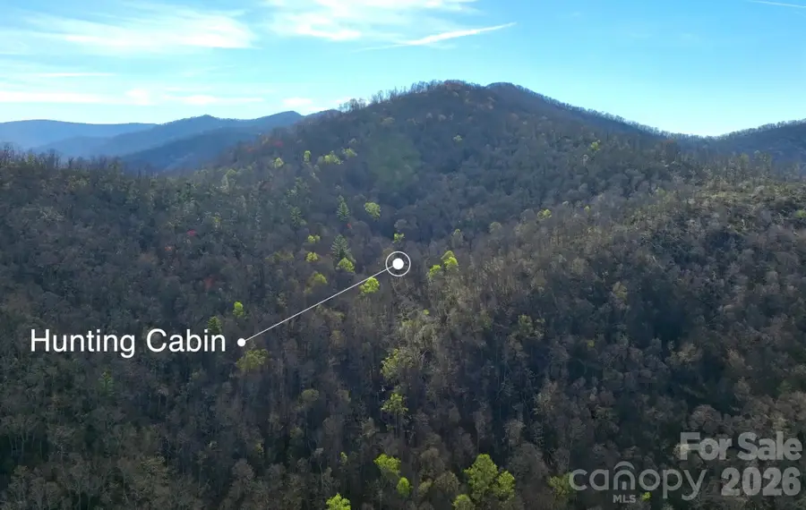48 Benfield Road, Weaverville, NC 28787 - #2