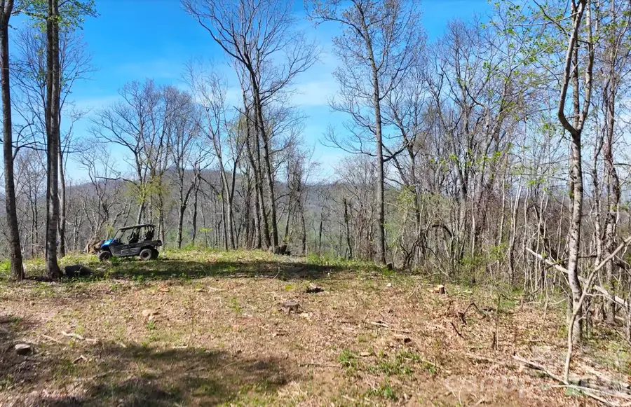 48 Benfield Road, Weaverville, NC 28787 - #3