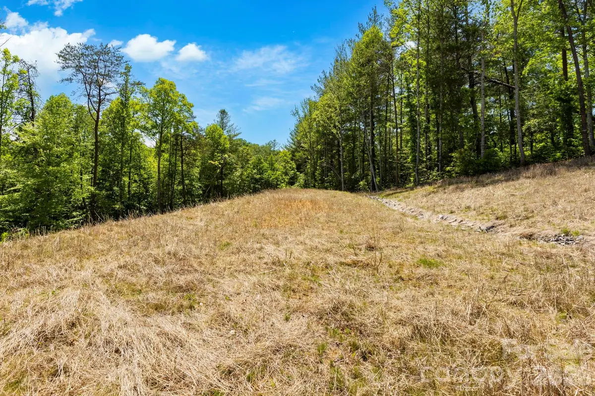 151 Riverbend Forest Drive, Asheville, NC 28805 - #1
