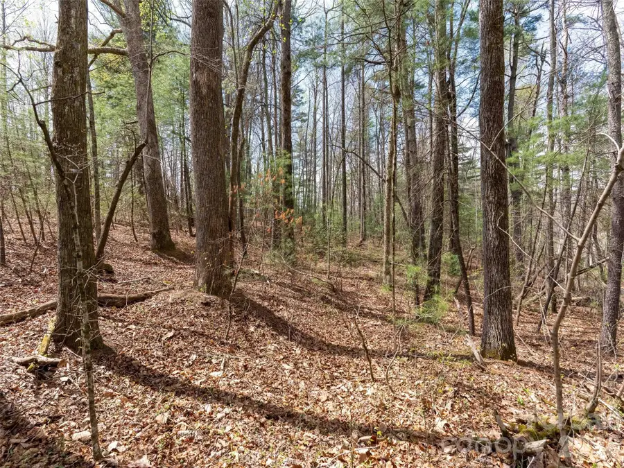 00 E Hilltop Drive #13B, Saluda, NC 28773 - #3
