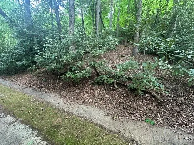 TBD Glen Cannon Drive #5-B, Pisgah Forest, NC 28768 - #1