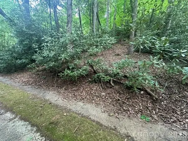 TBD Glen Cannon Drive #5-B, Pisgah Forest, NC 28768