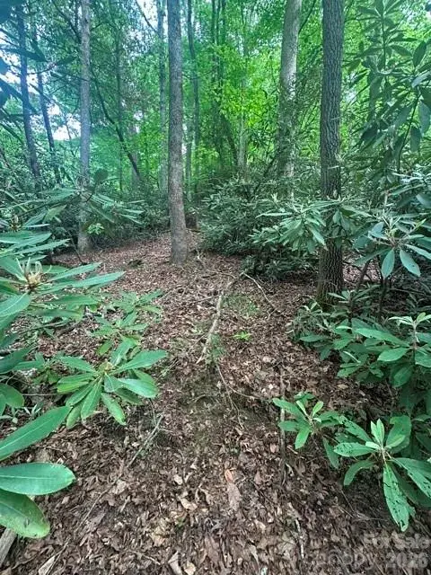 TBD Glen Cannon Drive #5-B, Pisgah Forest, NC 28768 - #2