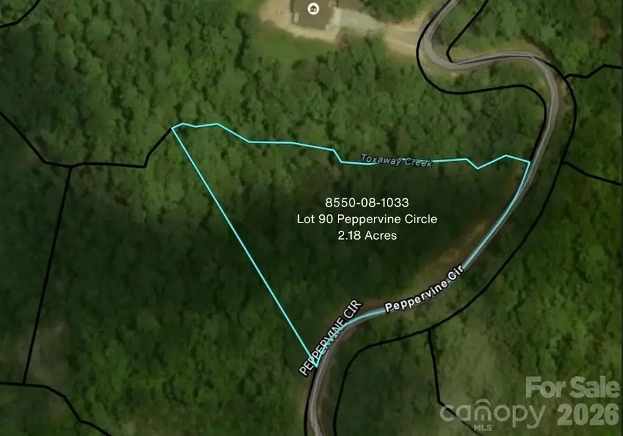 Lot 90 Peppervine Circle #90, Eastatoe, NC 28712 - #2