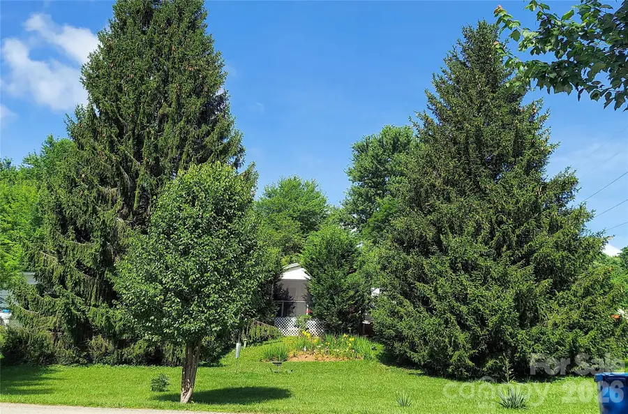 46 Larkspur Lane, Canton, NC 28716 - #3