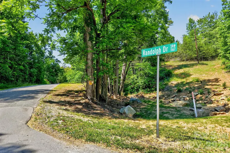 272 Randolph Drive, Marion, NC 28752 - #3