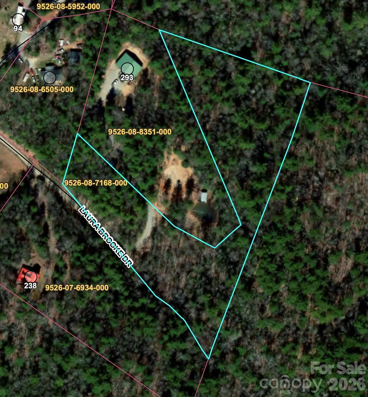 99999 Laura Brooke Drive, Penrose, NC 28766 - #1