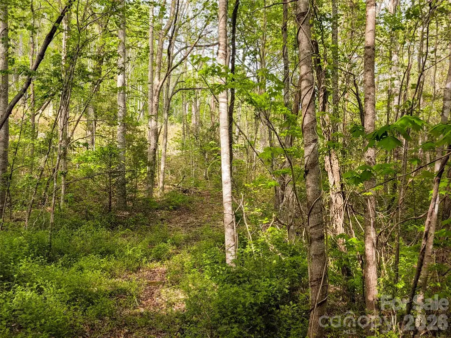 99999 Weldon Way, Fairview, NC 28730 - #2