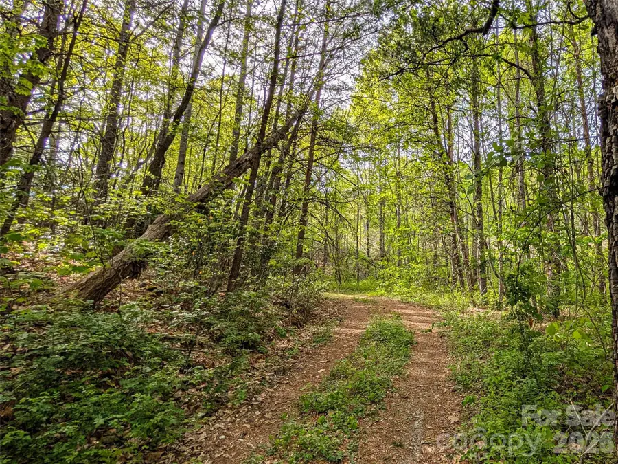 99999 Weldon Way, Fairview, NC 28730 - #3