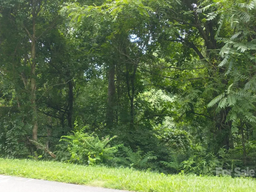 197 Starling Pass, Asheville, NC 28804 - #3