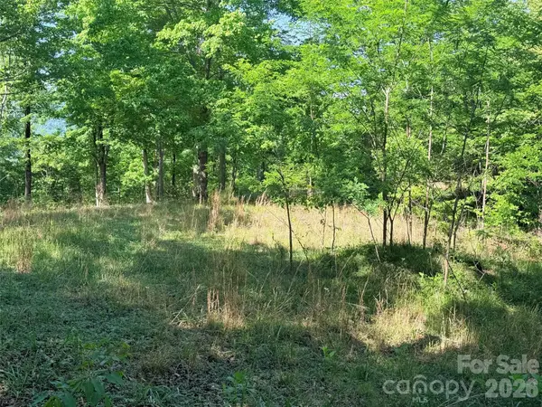 Lot 8 High Rock Ridge, Lake Lure, NC 28746