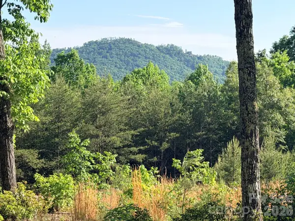 Lot 11 Brookside Parkway, Lake Lure, NC 28746