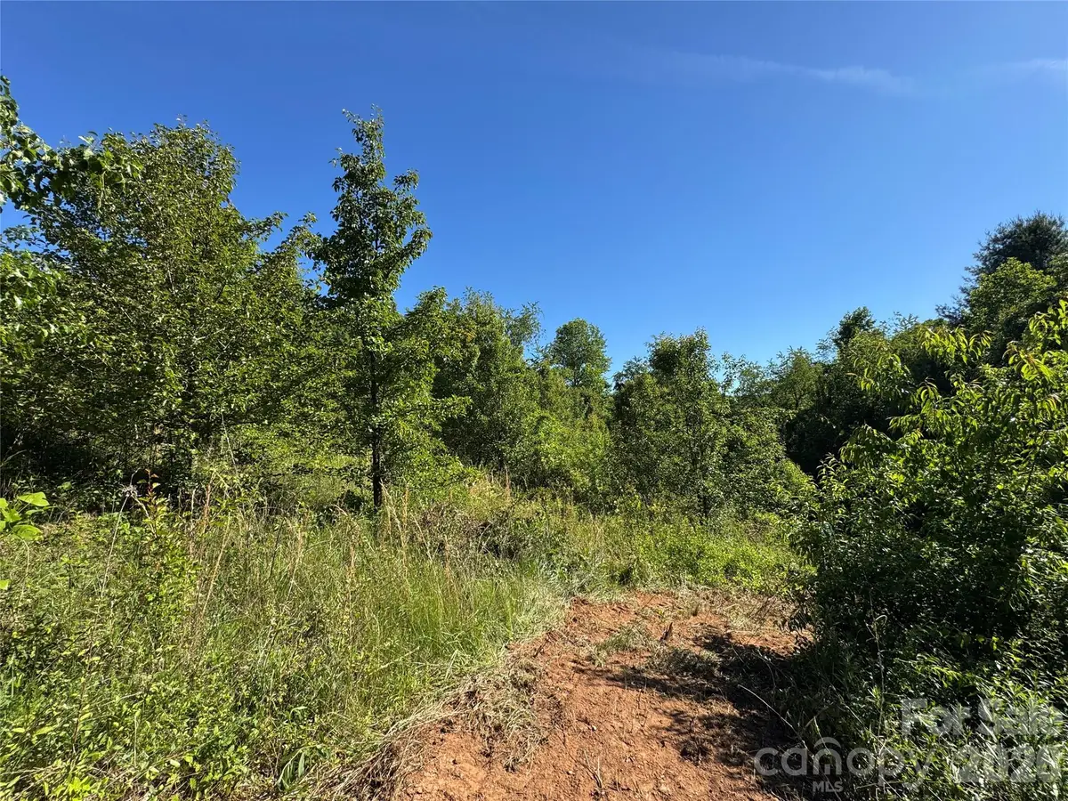 TBD Duckett Road, Candler, NC 28715 - #1