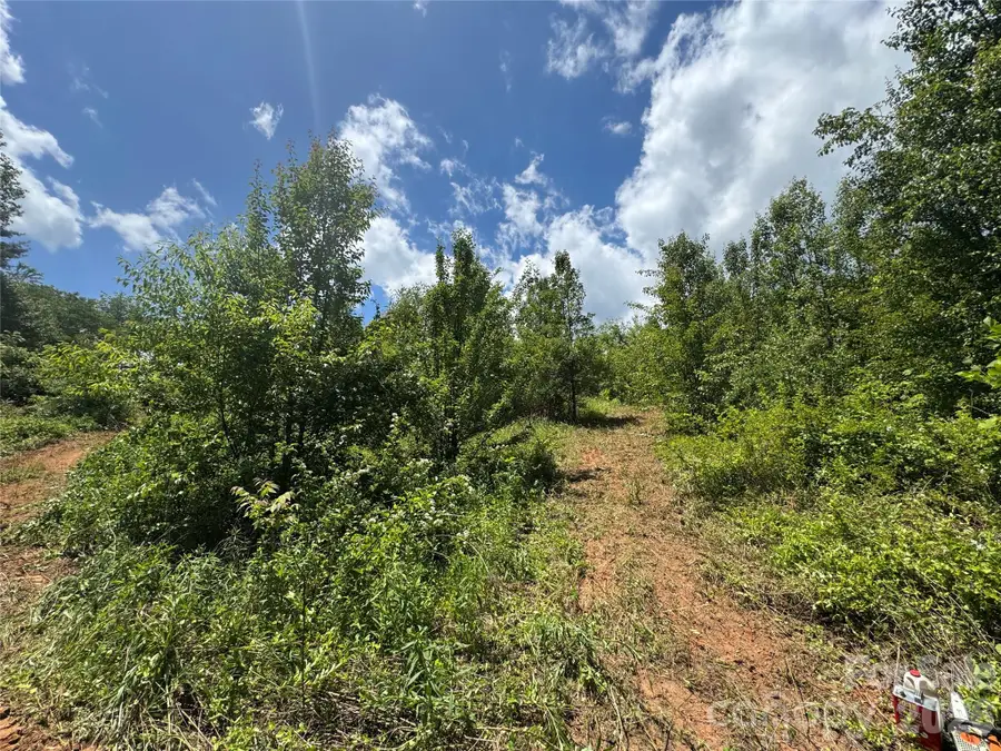 TBD Duckett Road, Candler, NC 28715 - #3