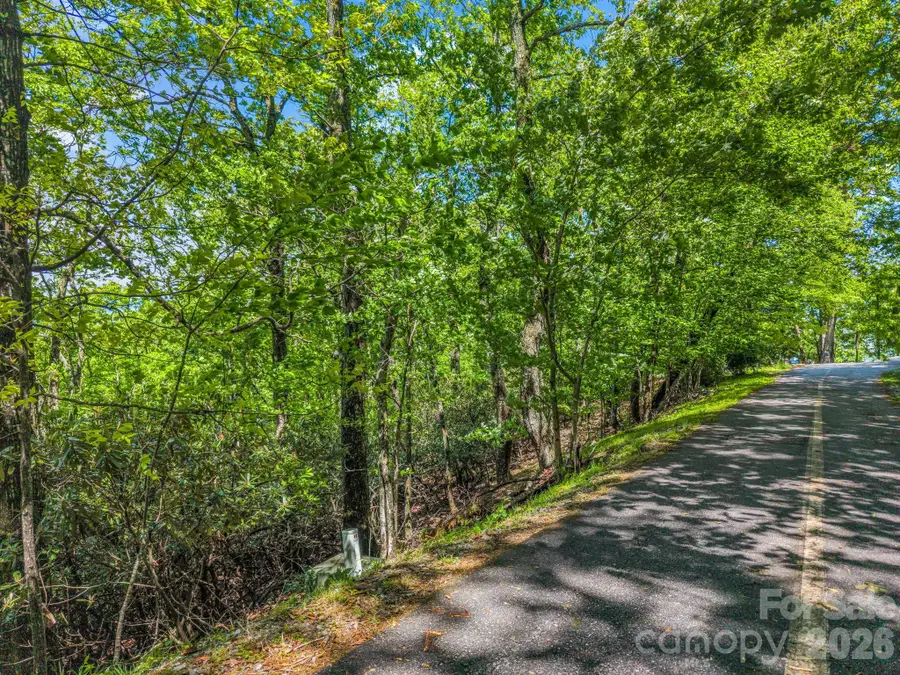 99999 Laurel Drive #27, 28, 29, Mills River, NC 28759 - #3