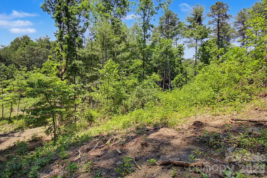 1355 Brookside Camp Road, Hendersonville, NC 28792 - #3