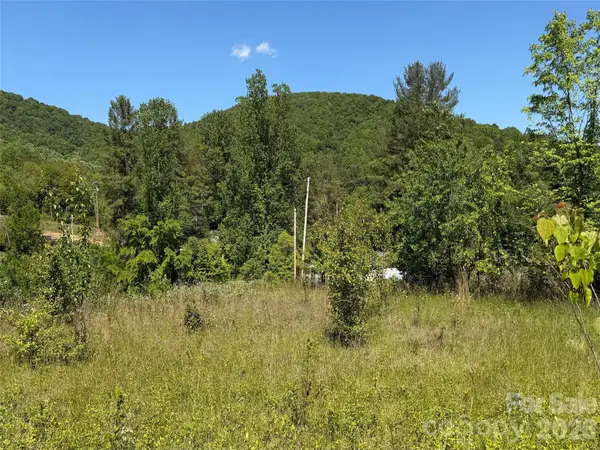 99999 S Morgan Branch Road, Candler, NC 28715