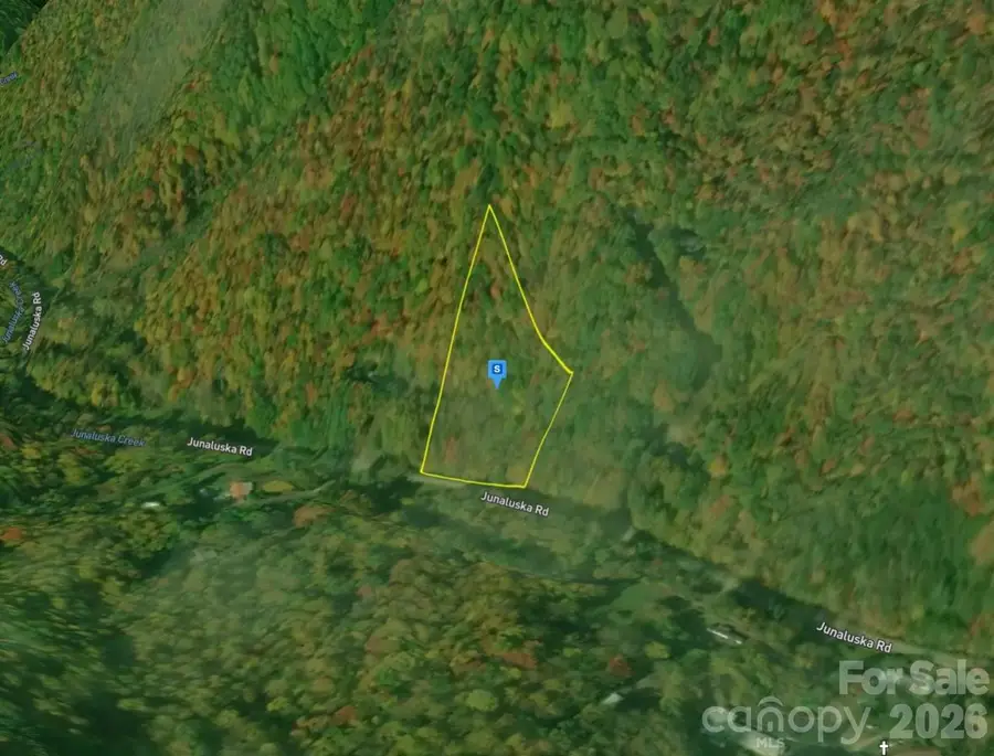 4705 Junaluska Road, Andrews, NC 28901 - #3