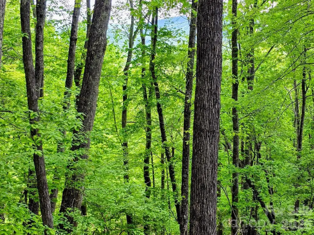 00 Hickory Springs Road #12, Burnsville, NC 28714 - #1