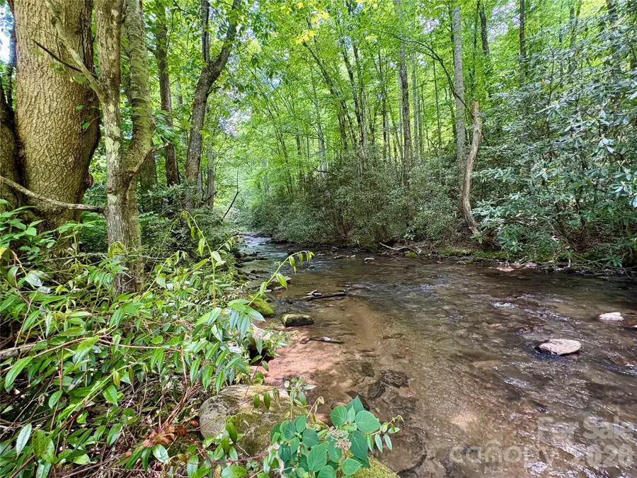 0 Alarka Road #48, Bryson City, NC 28713 - #2