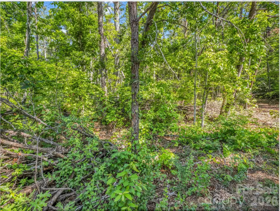 9999 Sedgewood Court, Fairview, NC 28730 - #3
