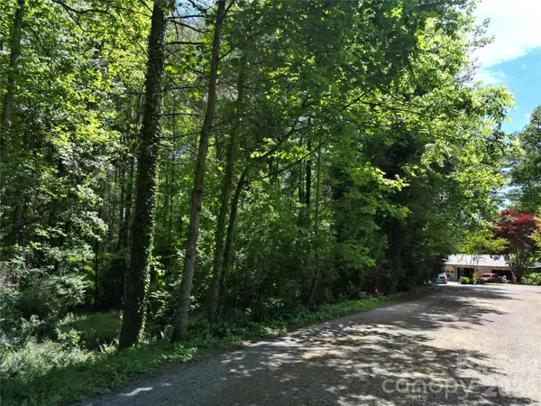 225 Country Lane, Brevard, NC 28712