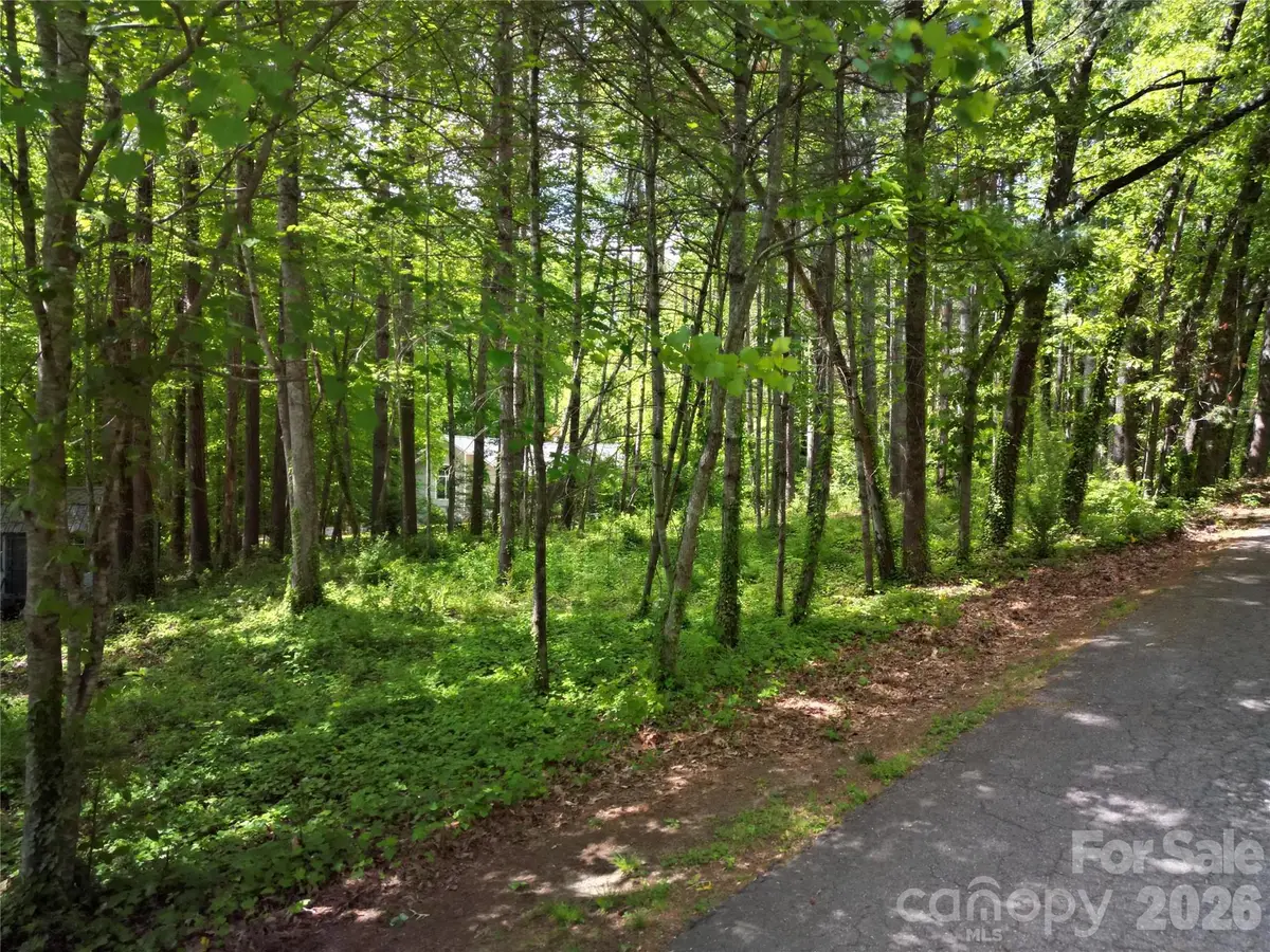 164 Country Lane, Brevard, NC 28712 - #1