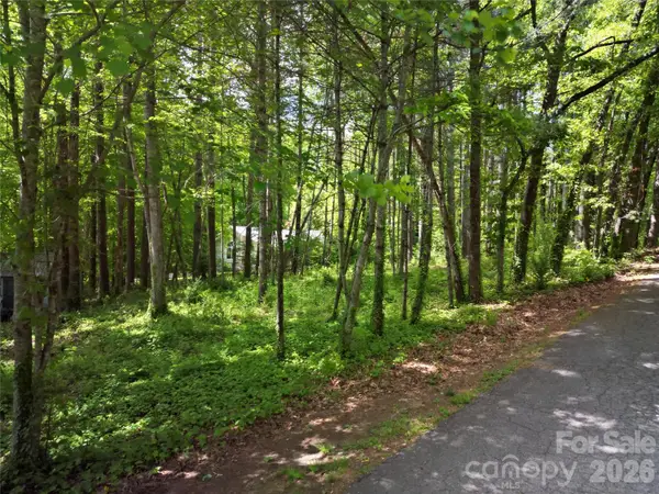 164 Country Lane, Brevard, NC 28712