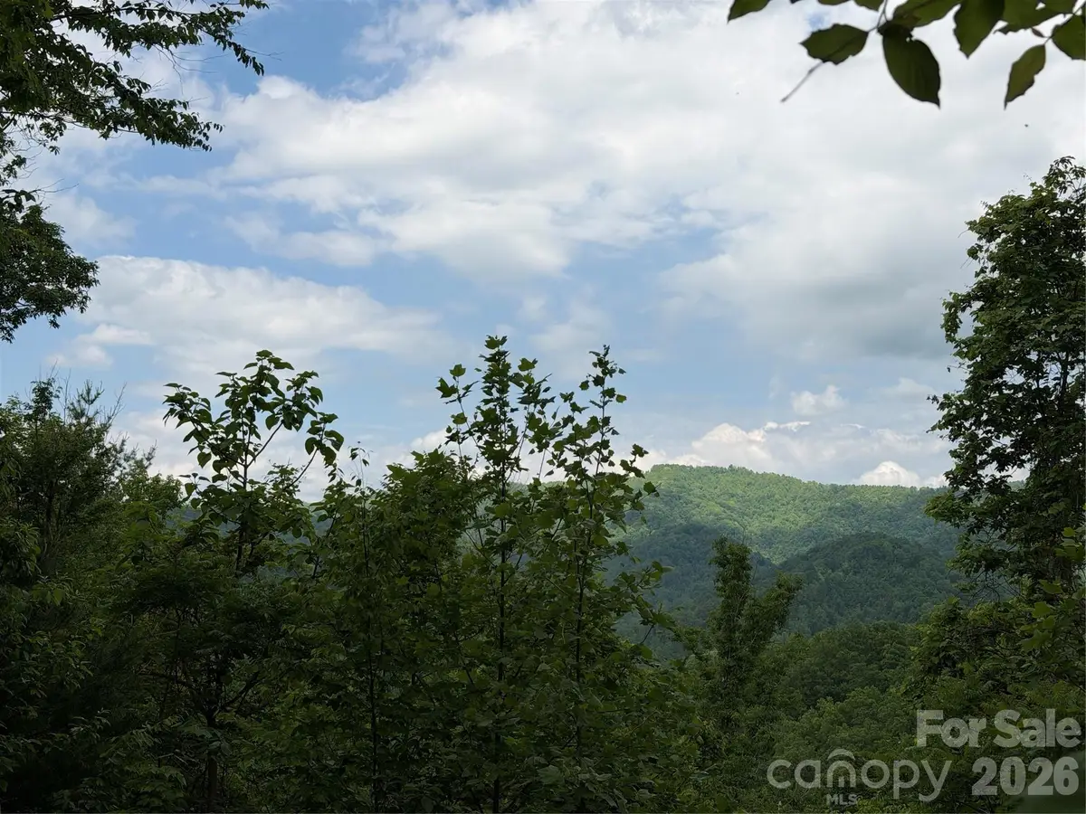 408 Arvil Gosnell Road, Marshall, NC 28753 - #1
