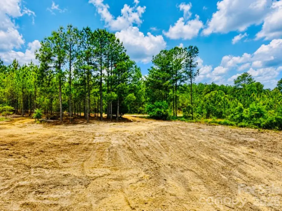 231 Jc Road, Patrick, SC 29584 - #3