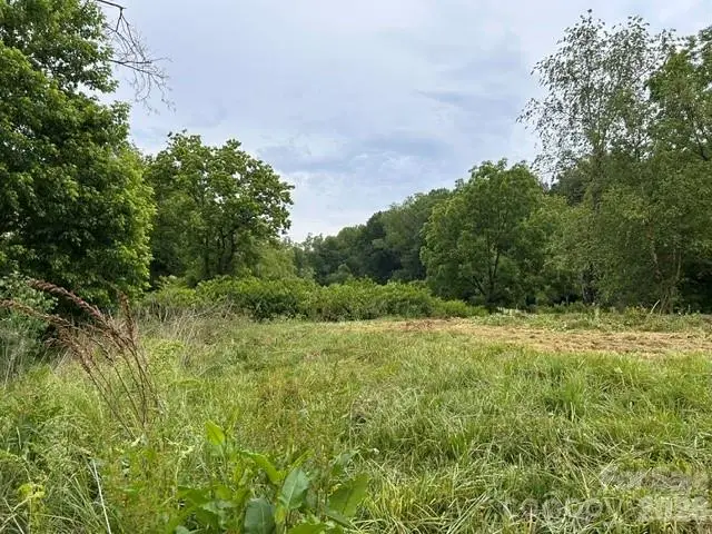 199 Amboy Road, Asheville, NC 28806 - #1