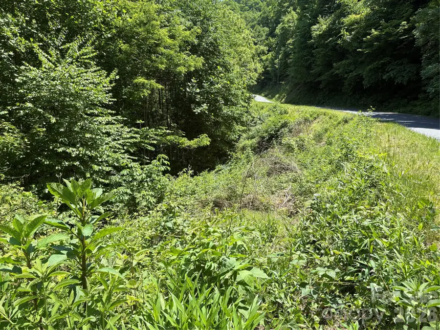 0 Timber Estates Road #11, Bryson City, NC 28713 - #3