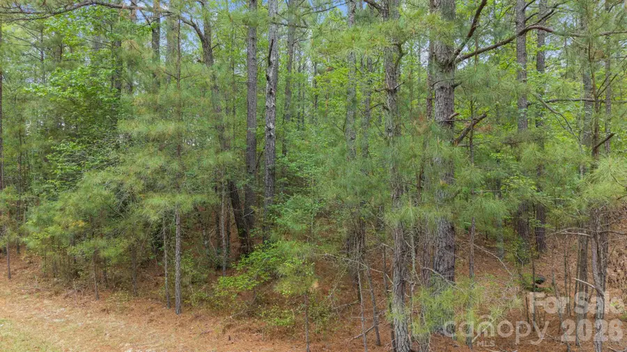 Vacant Davis Haywood Road, Mount Gilead, NC 27306 - #2